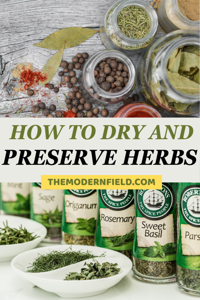How to Dry and Preserve Herbs