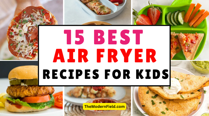 Air Fryer Recipes for Kids