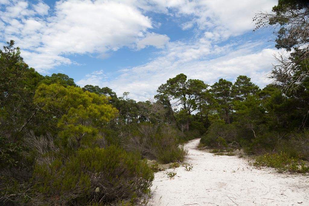 Bon Secour National Wildlife Refuge Pine Beach Trail