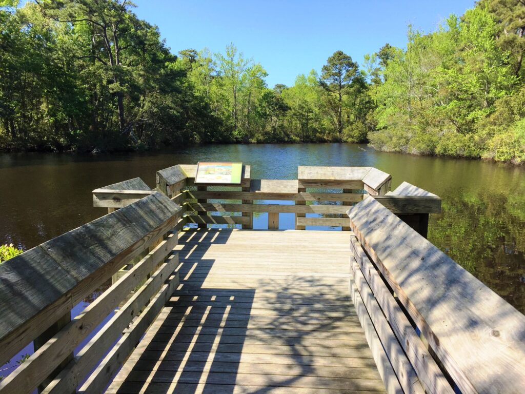 Nags Head Woods Preserve NC
