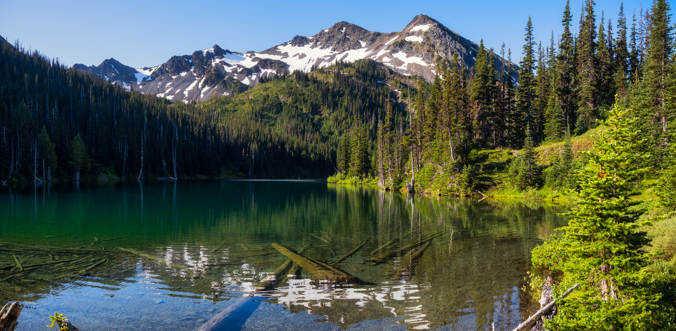 Olympic National Park, Washington, USA