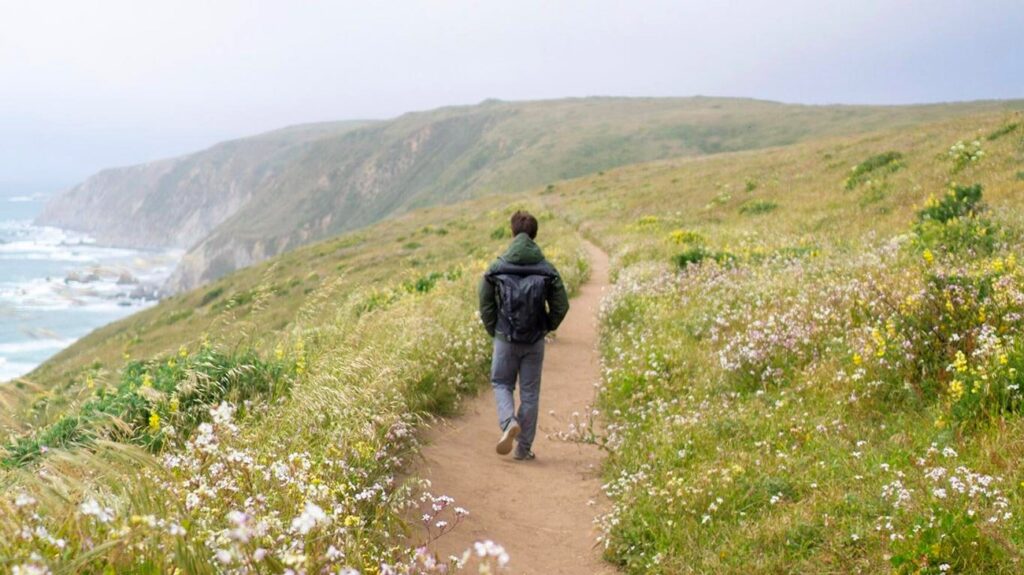 Tomales Point Trail