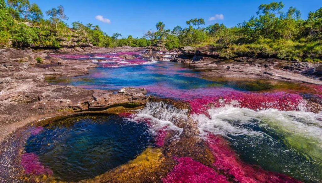 Cano Cristales: The River of Five Colors