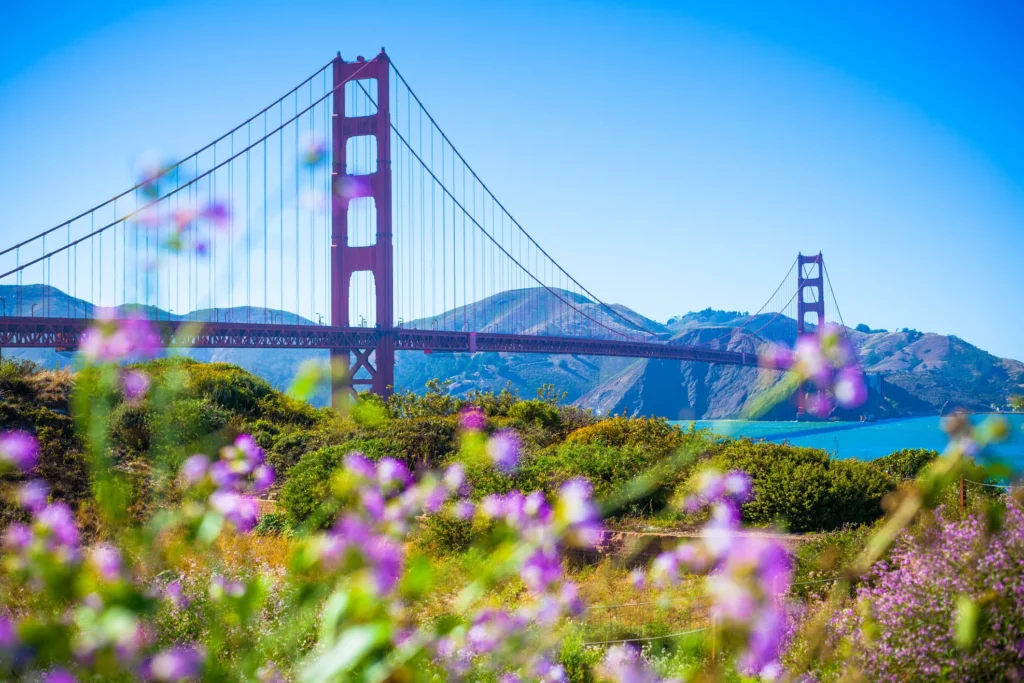 Best Time to Visit San Francisco