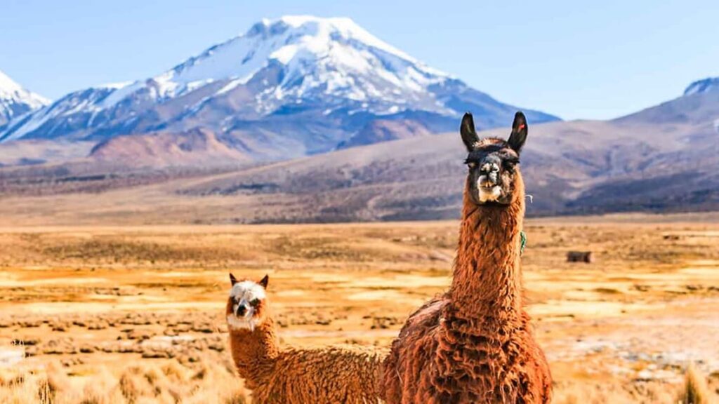 Cheapest countries to travel in 2025: Bolivia