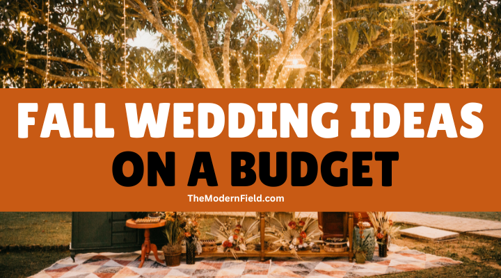 Fall Wedding Ideas on a Budget